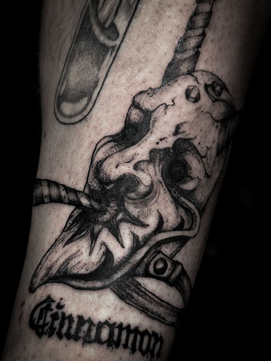 Unicorn skull - Different angle